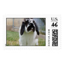 isabunny postage by rascallyrabbit isabunny postage