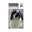 Isabunny Postcard Stamp by rascallyrabbit Isabunny Postcard Stamp