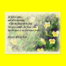 Isaiah40:6...8 postcard postcards