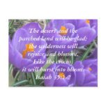 Isaiah 35:1-2 ~ The Crocus Postcard