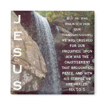 Isaiah 53 Collection magnets
