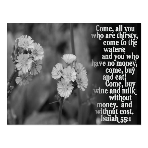 ISAIAH 55:1 BIBLE SCRIPTURE FAVORITE POSTCARD | Zazzle