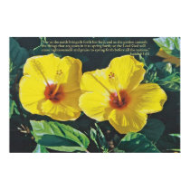 Isaiah 61 posters