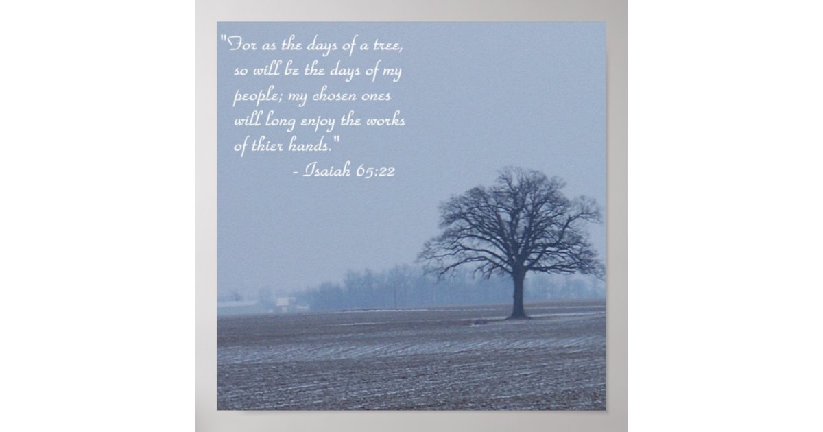 Isaiah 65 22 Bible Verse Poster Zazzle isaiah-65-22-bible-verse-poster-zazzle