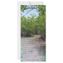 Isaiah Biblical Text Custom Rack Cards