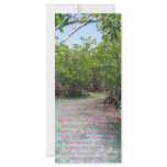 Isaiah Biblical Text rack cards