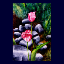 Isaiah's Tulips posters
