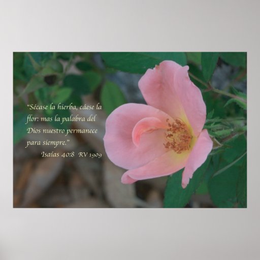 Isaias 40:8 posters