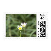 ISeeds of joy stamp by joacreations ISeeds of joy stamp