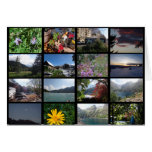 isere-mosaic.png cards