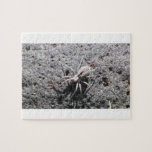 Ishawooa Wyoming Fauna Insects / Arachnids Puzzles