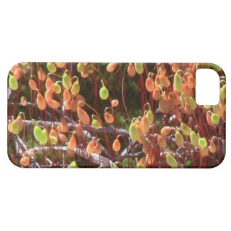 Ishawooa Wyoming Flora Fungi Lichen Mosses iPhone 5 Cases