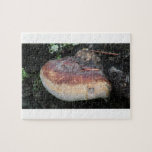 Ishawooa Wyoming Flora Fungi Lichen Mosses Jigsaw Puzzles