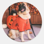 Isis - German Shepherd - Simmons Stickers