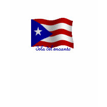 Isla del encanto t-shirts