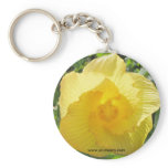 Isla Espiritu Santo, Islas las Perlas, Panama Key Chain
