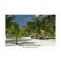 Isla Mujeres posters