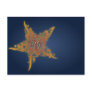 Islamic bismillah calligraphy star Arabic Post Cards