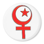 Islamic feminism... refrigerator magnet