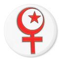 Islamic feminism... magnets