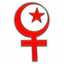 Islamic Feminism t-shirts