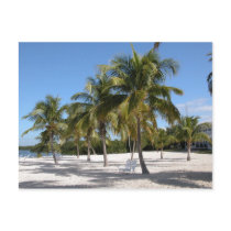 Islamorada Florida Beach Postcard