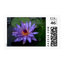 Islamorada stamps