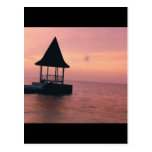 Island Beach Honeymoon Postcard