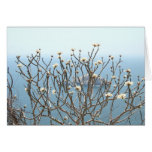 Island Blossoms Card