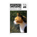 Island Cat stamp