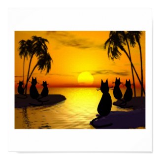 island cats at sunset poster print