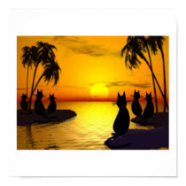 island cats at sunset poster posters