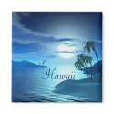 island cove-Hawaii magnets