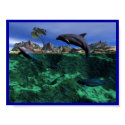 Island Dolphins posters