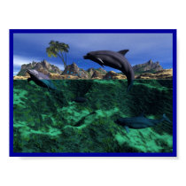 Island Dolphins posters
