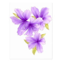 Island Flowers - purple Post Cards