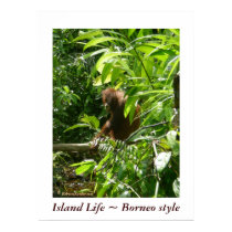 Island Life ~ Borneo style posters by Rebecca_Reeder Island Life ~ Borneo style posters