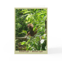 Island Life ~ Borneo wildlife greeting card by Rebecca_Reeder Island Life ~ Borneo wildlife greeting card