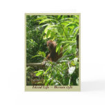 Island Life ~ Borneo wildlife greeting card