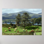 island meadow poster