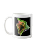 Island of Hawaii from Space  Landsat Image Mugs