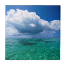 Island of Tahaa, French Polynesia Ceramic Tile