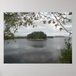 Island On The Lake Poster