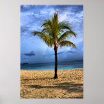 Island Tree Posters