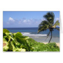Island Vacation cards by Adamophoto Island Vacation cards