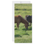 Islandpferde Custom Rack Cards