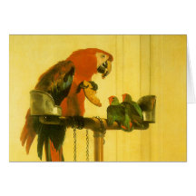 Islay, Tilco, a Macaw and 2 Love Birds by Landseer Cards