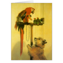 Islay, Tilco, a Macaw and 2 Love Birds by Landseer Greeting Cards