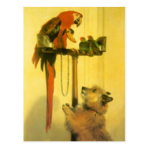 Islay, Tilco, a Macaw and 2 Love Birds by Landseer Post Cards