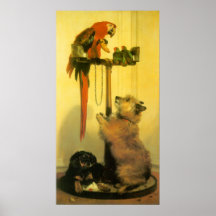 Islay, Tilco, a Macaw and 2 Love Birds by Landseer Posters